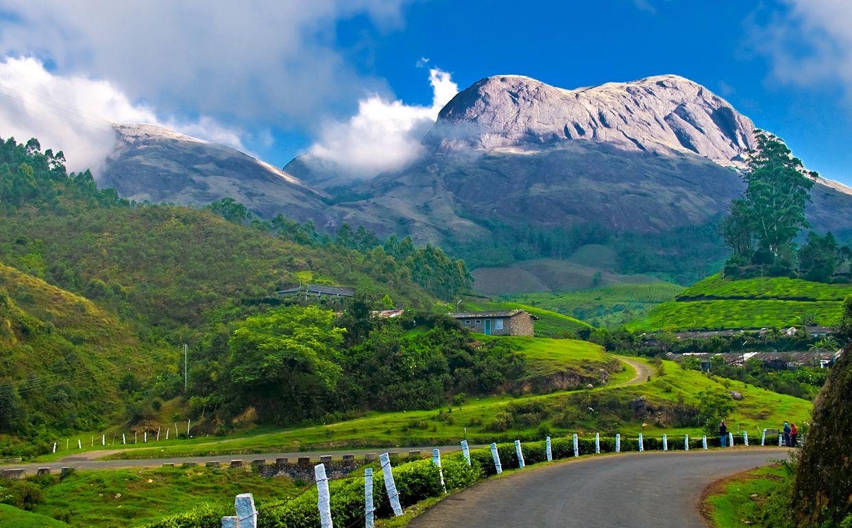 Lush green tea plantation hills in Munnar, Kerala