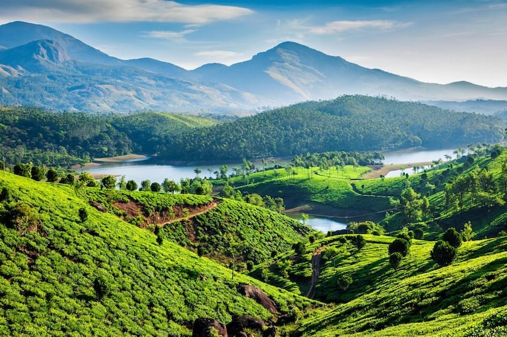 Lush tea plantations along the Muthirappuzhayar river valley near Munnar, Kerala