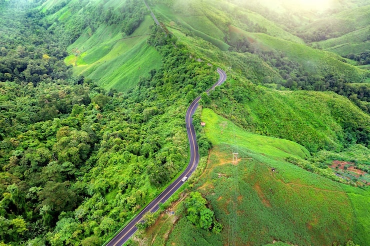Aerial view of a winding mountain road through lush green Munnar hills